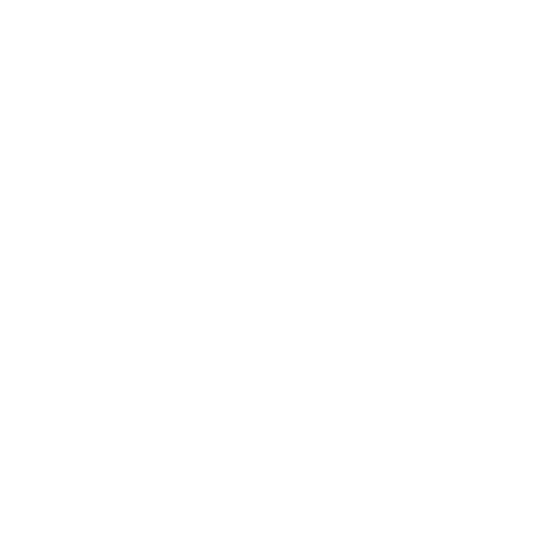 Customer Experience